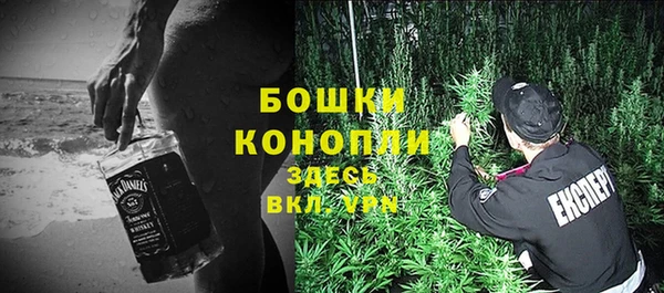 дмт Богородск