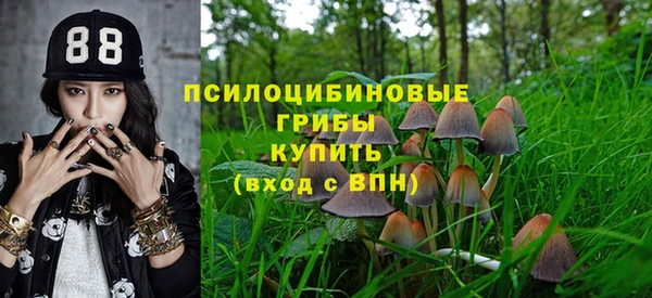 spice Богданович
