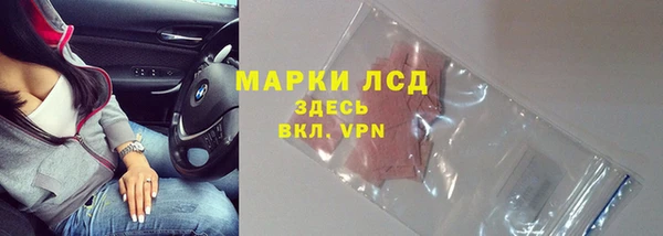 spice Богданович