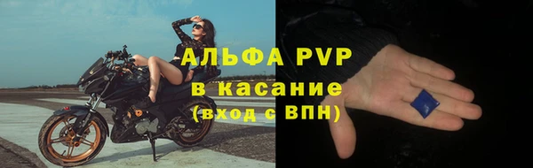 spice Богданович