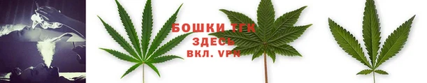spice Богданович