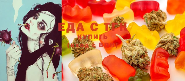 дмт Богородск