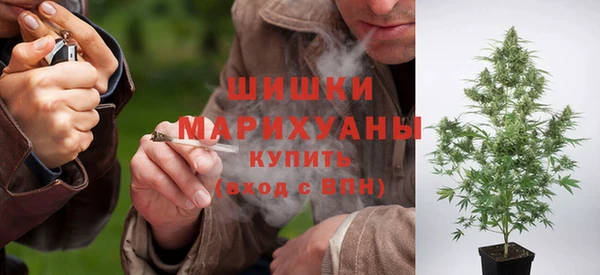 дмт Богородск